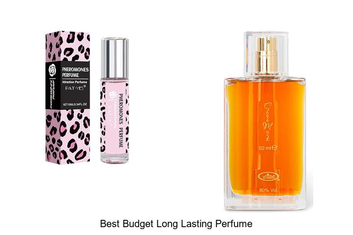 Top 12 Best Budget Long Lasting Perfume You Need Now