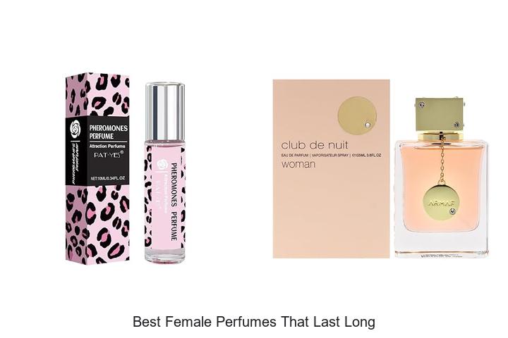 Top 12 Best Female Perfumes That Last Long And Impress