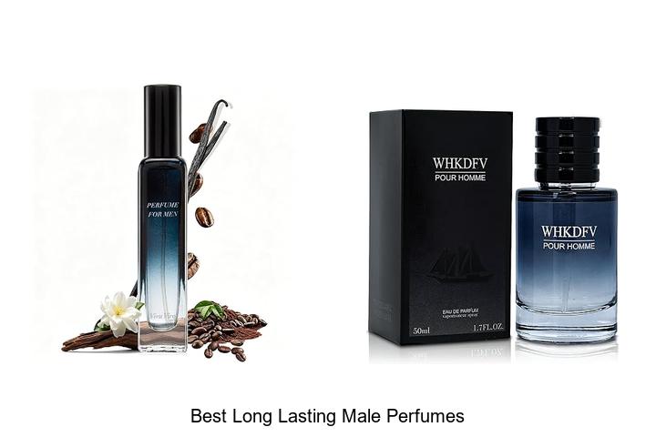 Top 12 Best Long Lasting Male Perfumes That Turn Heads