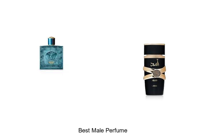 Top 12 Best Male Perfume That Will Drive Her Wild