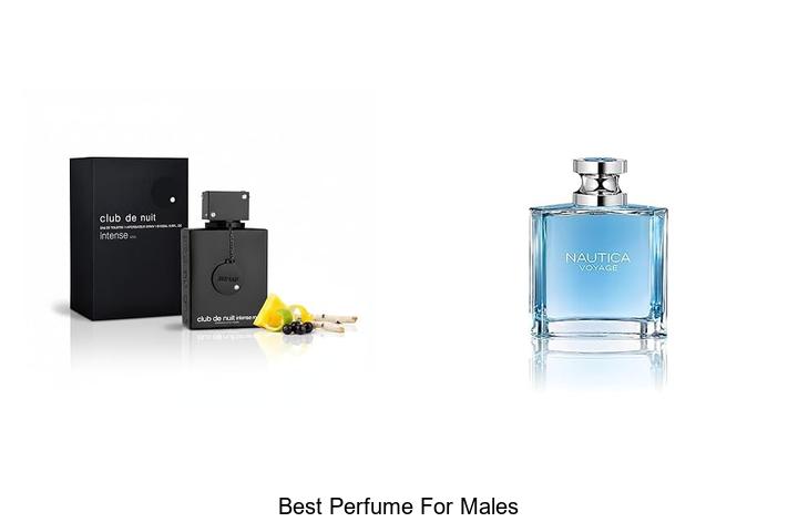 Top 12 Best Perfume For Males That Will Turn Heads