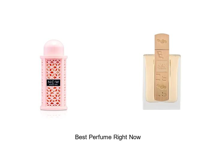 Top 12 Best Perfume Right Now You Can’t Miss Buying!