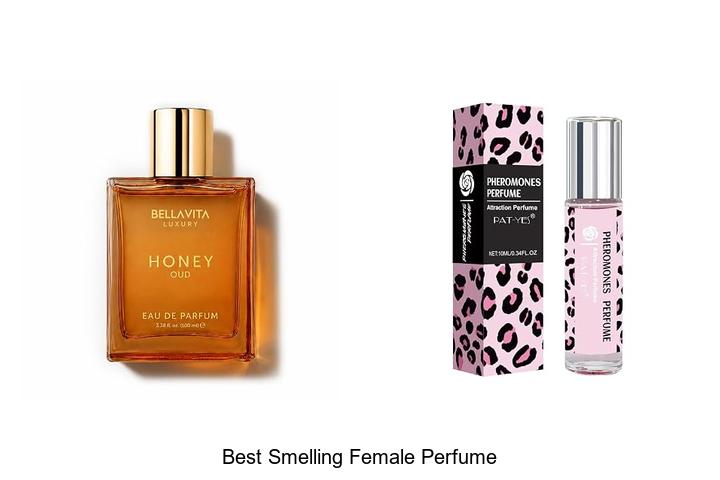 Top 12 Best Smelling Female Perfume You Need Now