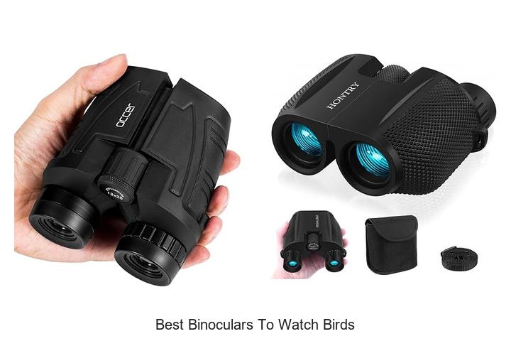 best binoculars to watch birds