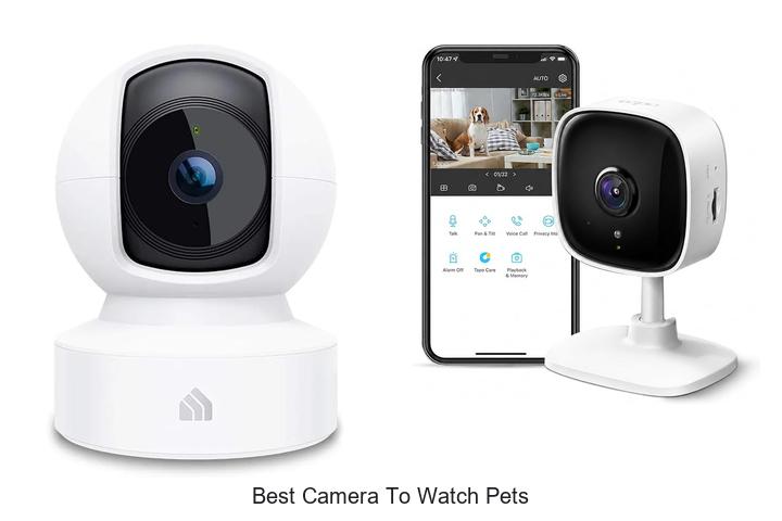 best camera to watch pets