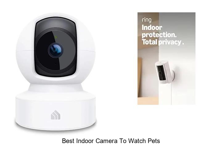 best indoor camera to watch pets